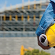 Illustration for article titled Heavy Construction Equipment on a Tight Perspective
